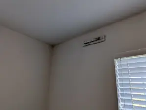 Mold remediation needed