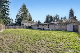 Lots of space in this level back yard.