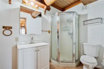 Downstairs guest bath