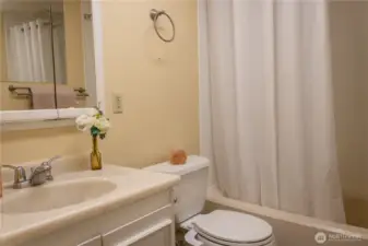 Hall bath