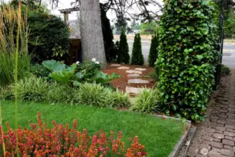 Beautiful front yard
