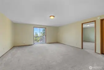 Additional photo of lower level bonus room