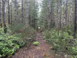 Piercefull tranquitly.