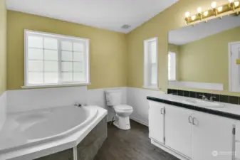 Soaker Tub Master Bedroom