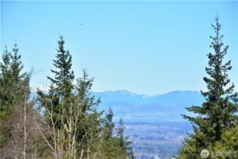 Project Photo looking north towards Canada