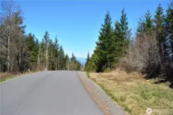 View from road looking North into Canada