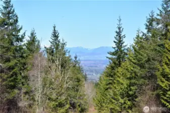Project Photo