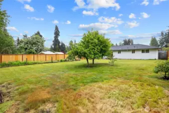 View of the house from the backyard