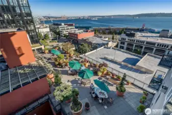 A look at the Vine's legendary rooftop deck with gardens, multiple meeting spaces, BBQ grills, firepits and unobstructed waterfront & Puget Sound views. This view looks south and west.