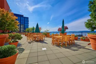 The Vine has one of the finest rooftop terraces in Seattle! It's a perfect spot to socialize and take in the stunning panoramic views of Elliott Bay, Mount Rainier, the Olympics and downtown.