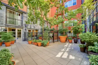 The Vine's courtyard entry is lovely and blooms in all seasons.