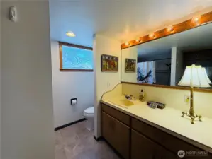Main bathroom off the main bedroom
