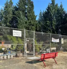 Community Garden for health and social connection with your neighbors