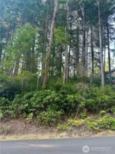 Property view that awaits your vision! To be apart of this lovely community.