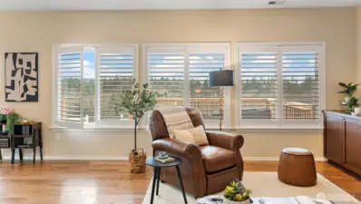 Brand new shutters in the main living space welcome you as you enter the home with Mountain View’s.
