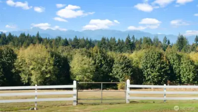 Fenced backyard space separate from pasture