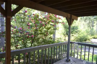 Large covered deck on Lot #56