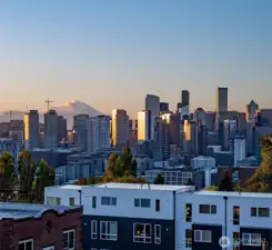 Beautiful Mt. Rainier