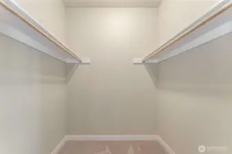 Primary bedroom spacious walk-in closet.