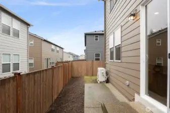 Low maintenance backyard