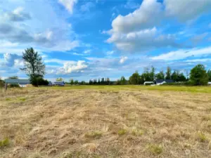 View of the southern portion of the property.