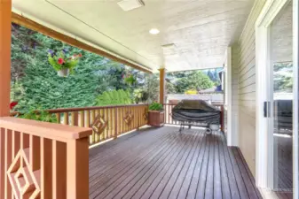 Covered deck with lights and gas stub overlooks the private fenced back yard