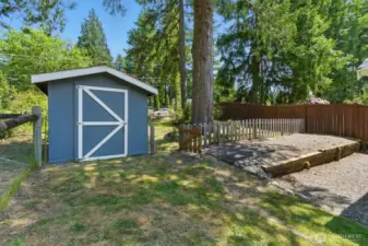 Storage shed in the backyard for all your tools