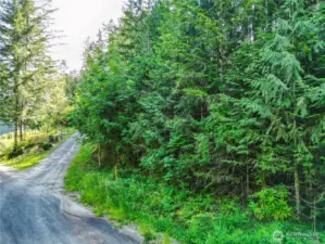 Property on Right of Paved road