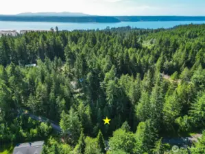 A minute from Hood Canal Access / Community center