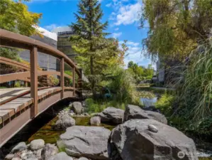 Although the complex is under construction, the courtyard beauty is shining though. Tranquility of a pond hidden from the rest of the world adorns this courtyard.