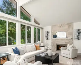 This room is east-facing and sun drenched for most of the day. Notice the vaulted ceiling.