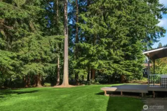 Handsome, mature trees provide needed shade and privacy. **The lawn has been altered to show greener grass since photography was taken in the Summer.