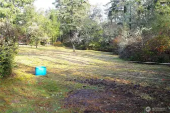 A pasture for your horse?