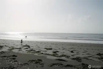 You will live walking  to and ---