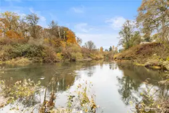 Seasonal beauty with changing foliage.