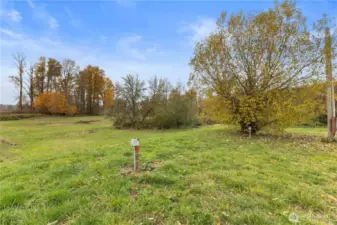 Expansive land with plenty of room to roam.