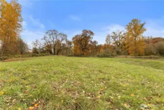 Mature trees provide a peaceful backdrop.