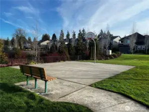 Neighborhood sport court