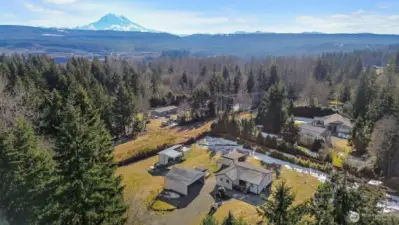 Enjoy breathtaking views of Mt Rainer