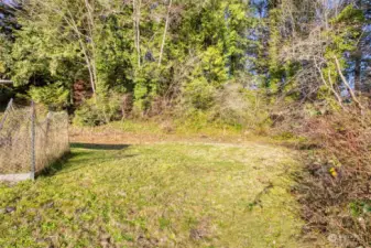 Flat, cleared portion of the property looking up the hill.