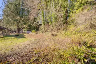 Looking from flat, cleared portion of property up the hill.