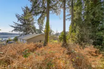 Looking down access easement towards property.