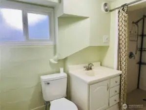 Basement 3/4 bathroom