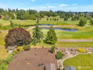 Elevated view of the backyard