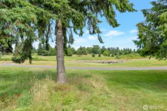 Closer view of the golf course