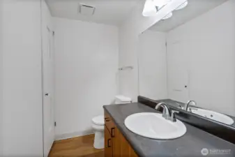 Lower level bathroom