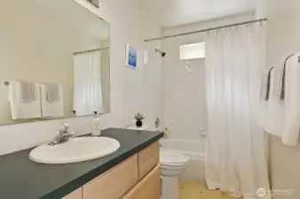 Lower level bathroom.