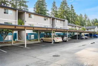 Carport parking is located right outside the building for easy access into your home.