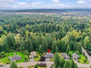 1/2 acre lots are hard to come by these days at such an affordable price for the neighborhood.