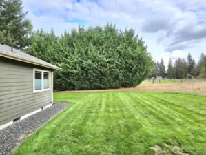 Back yard.  Full sprinkler system